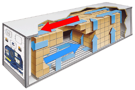Stuffing of Refrigerated Cargo